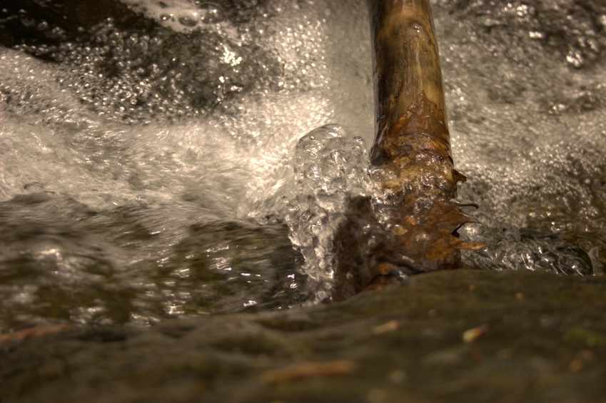 Stream at Middlesex Fells.