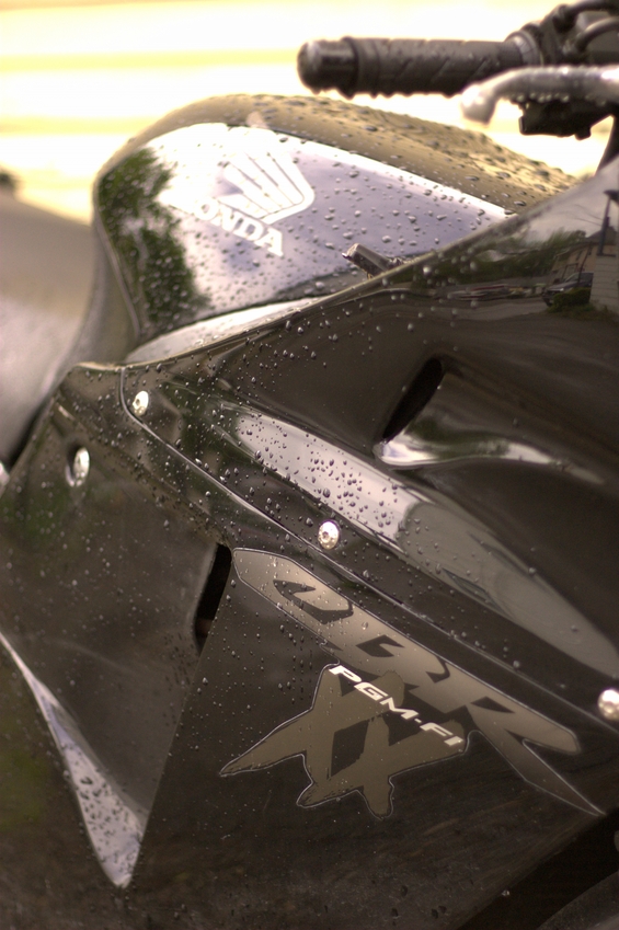 Darxus' Honda CBR1100XX Super Blackgird.