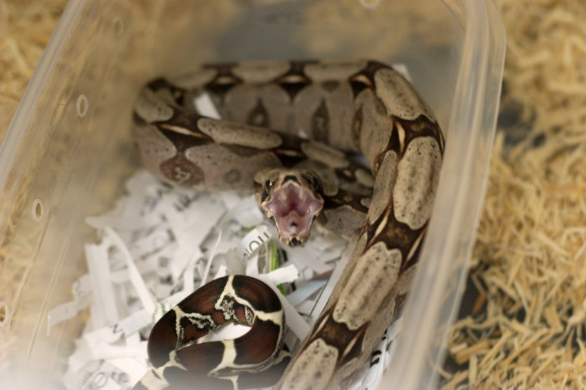 Dorothy just got home!