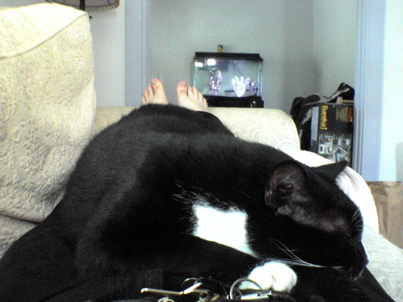 Monster on Darxus' lap.