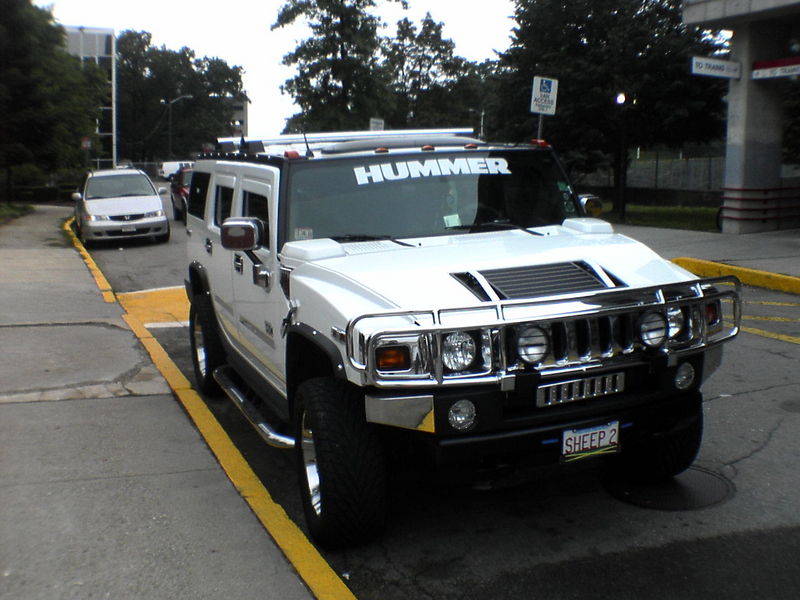 "sheep 2" hummer