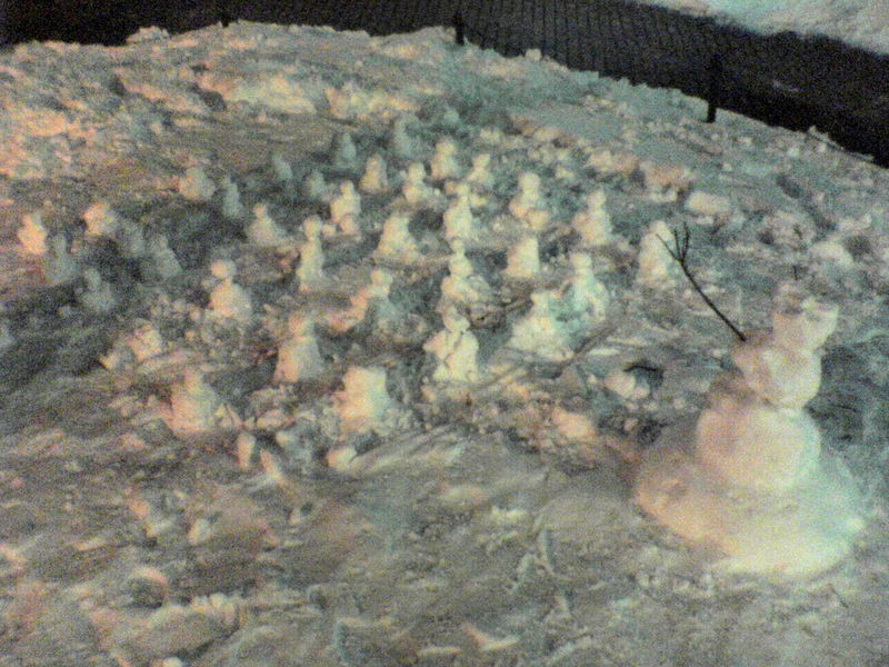 snow man congregation near Harvard