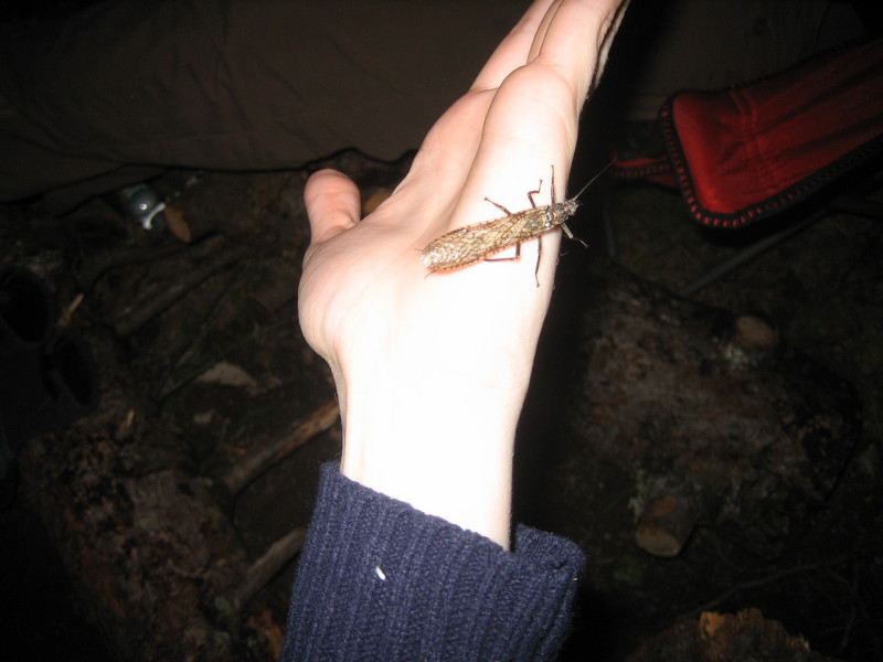 NEDoD Spring Fling 2006