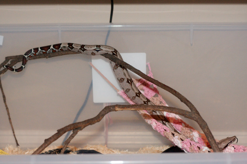 Dorothy.  Direct flash sucks.