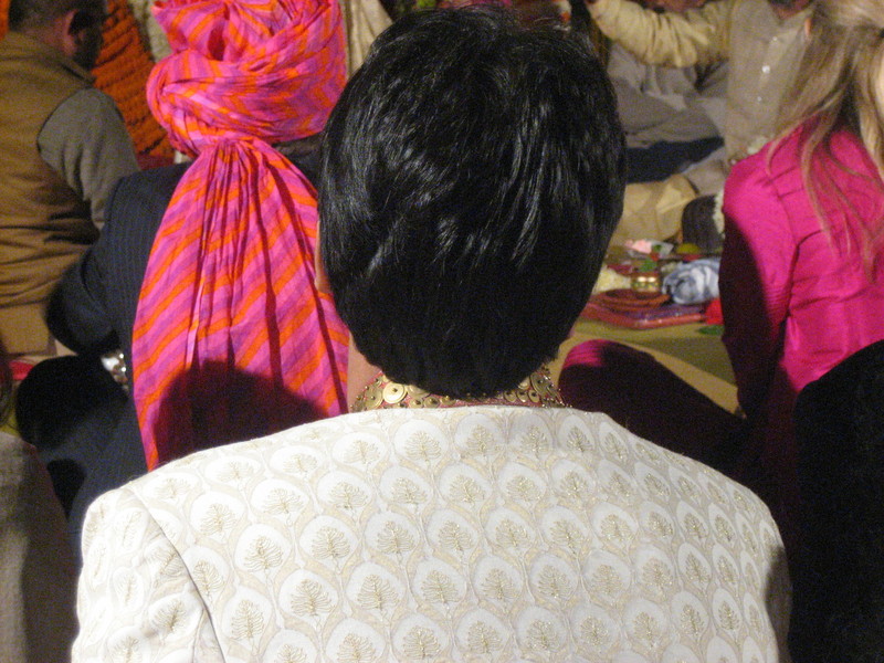 nice collar with metal rings