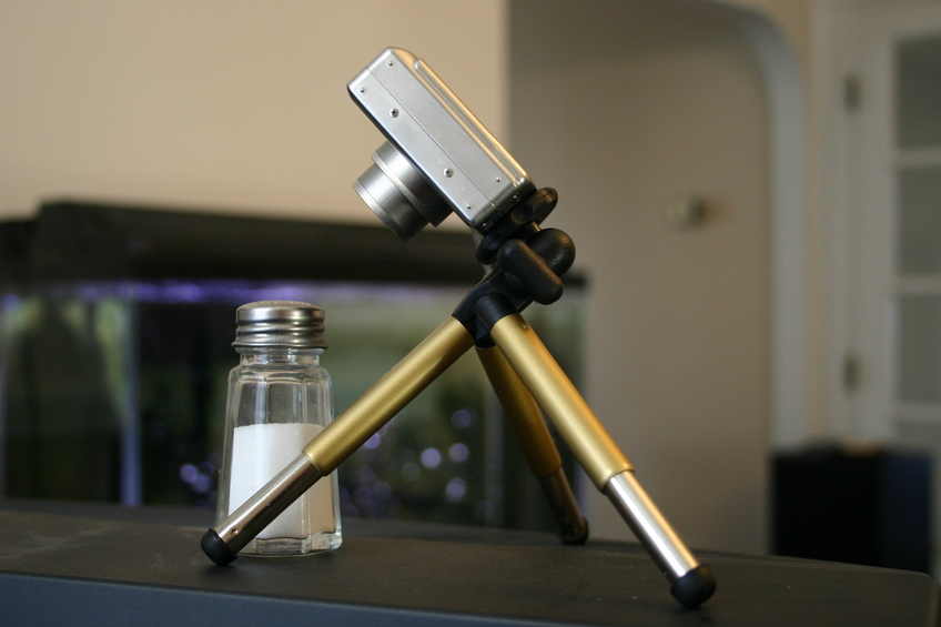 Canon SD450 and Ambico V-0615 Mini Tripod.