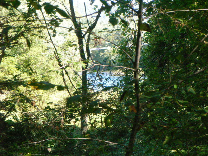 NEDoD Leaf Peep 2005