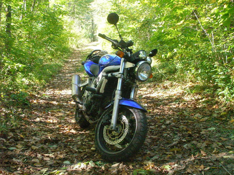 NEDoD Leaf Peep 2005