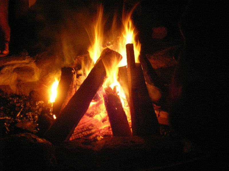 NEDoD Leaf Peep 2005