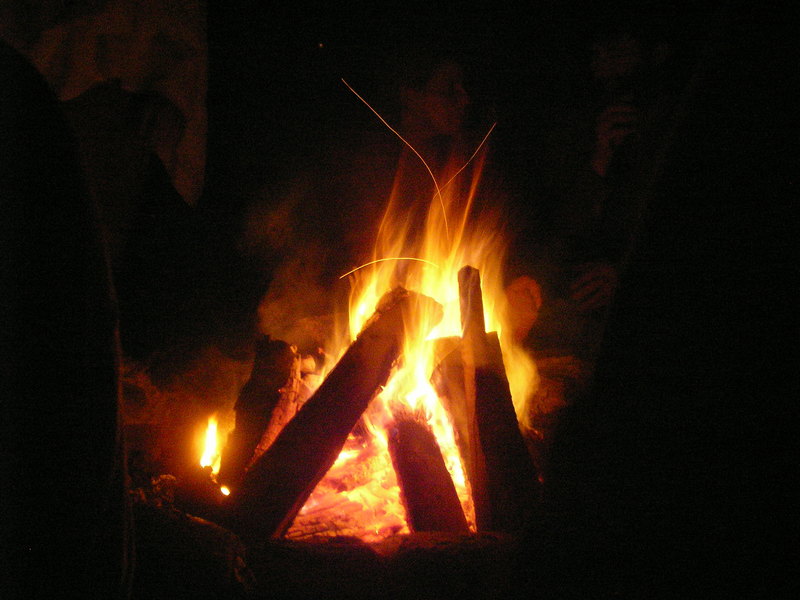 NEDoD Leaf Peep 2005