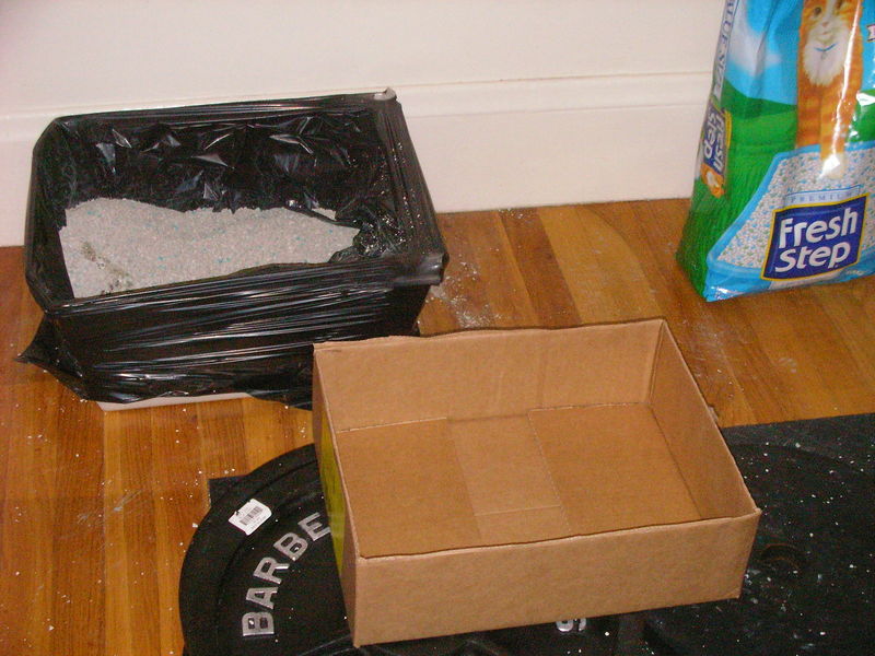 old litter box, new cardboard box