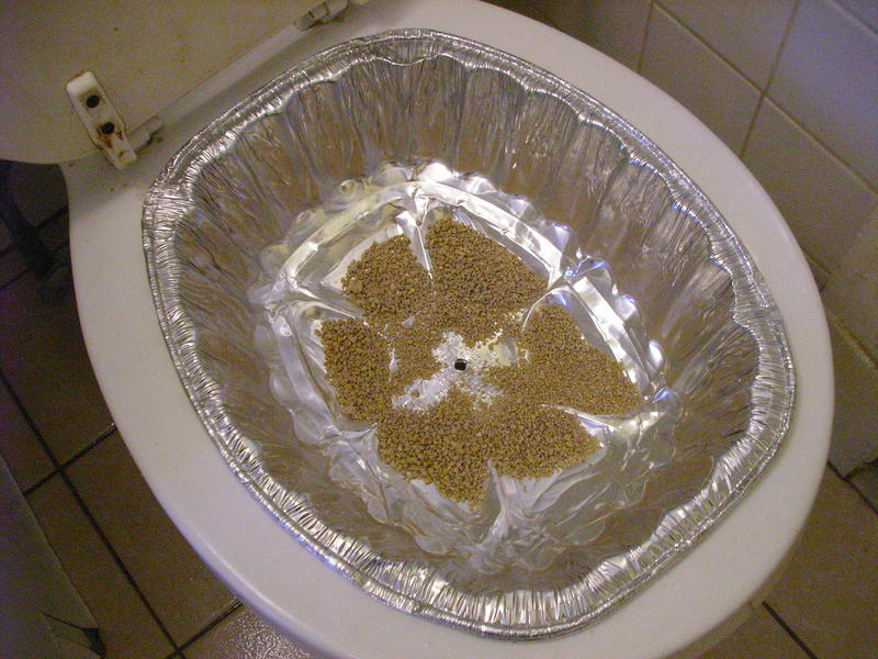 new 1/4" hole in litter pan, day 18