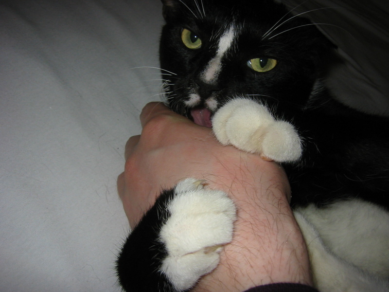 Monster chewing on Darxus