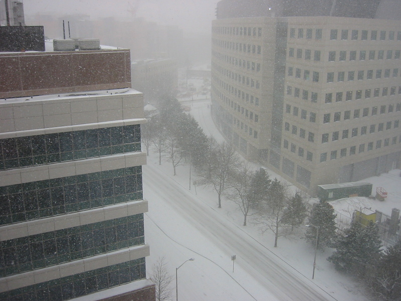 snowy Cambridge, from work