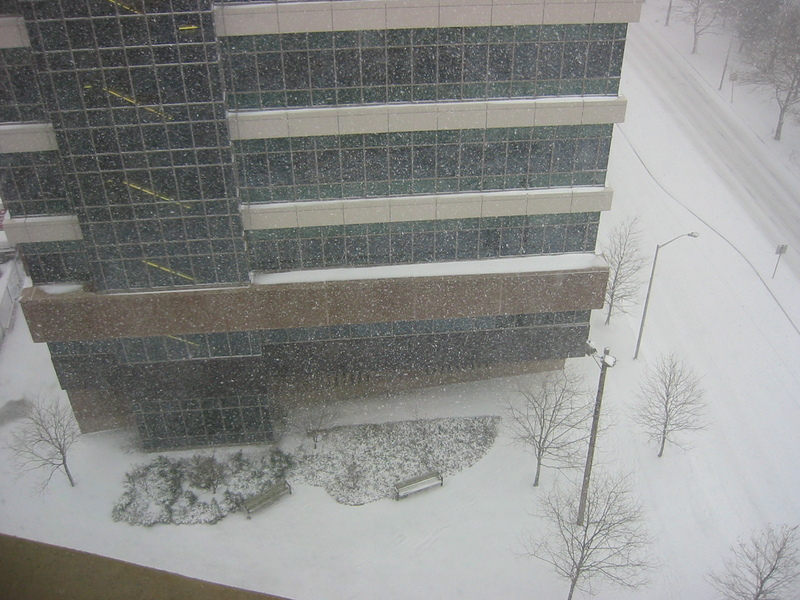 snowy Cambridge, from work