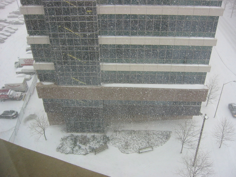 snowy Cambridge, from work