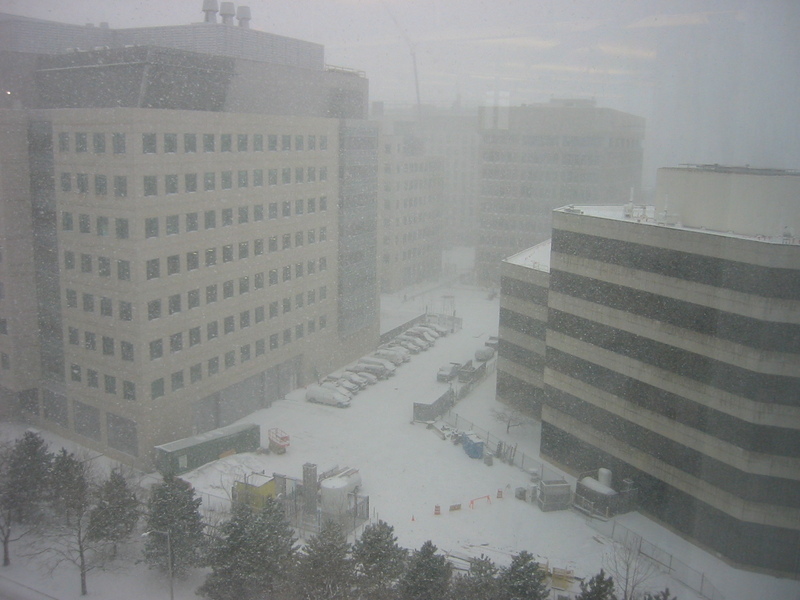 snowy Cambridge, from work