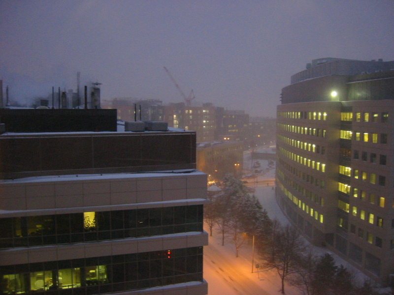 snowy dark Cambridge, from work