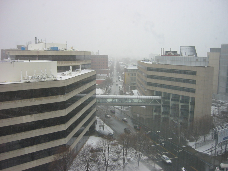 Cambridge, from work