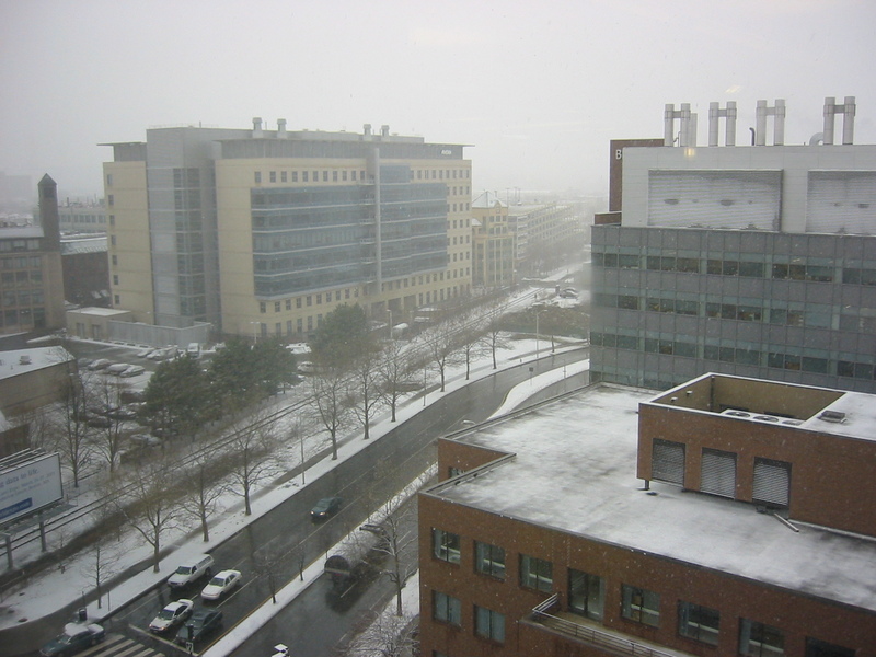 Cambridge, from work