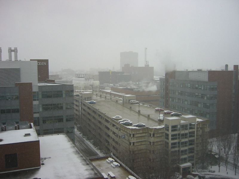 Cambridge, from work