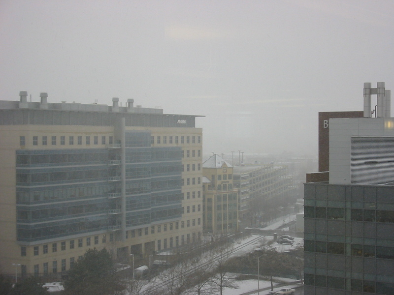 Cambridge, from work