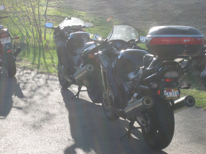 Darxus & Paul's Blackbirds