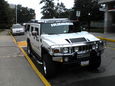 "sheep 2" hummer