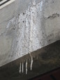 stalagtight at MBTA station