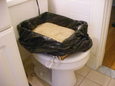 litter box moved to toilet, day 5
