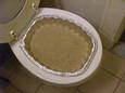 litter moved to baking pan in toilet, day 6