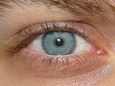 Darxus' eye