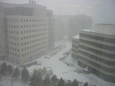 snowy Cambridge, from work