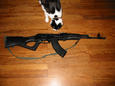 SLR95 (Bulgarian AK-47 copy with Steyr barrel and milled reciever, with a bulgarian waffle mag), Eris (cat)