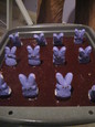 Zeph's peep bunny brownies